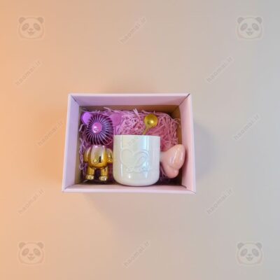 پک ماگ و مینی فن